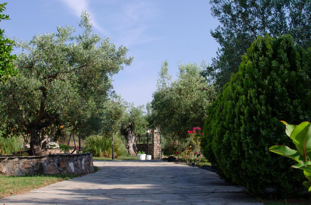 Makis House Nikiti (Sithonia) Exterior foto