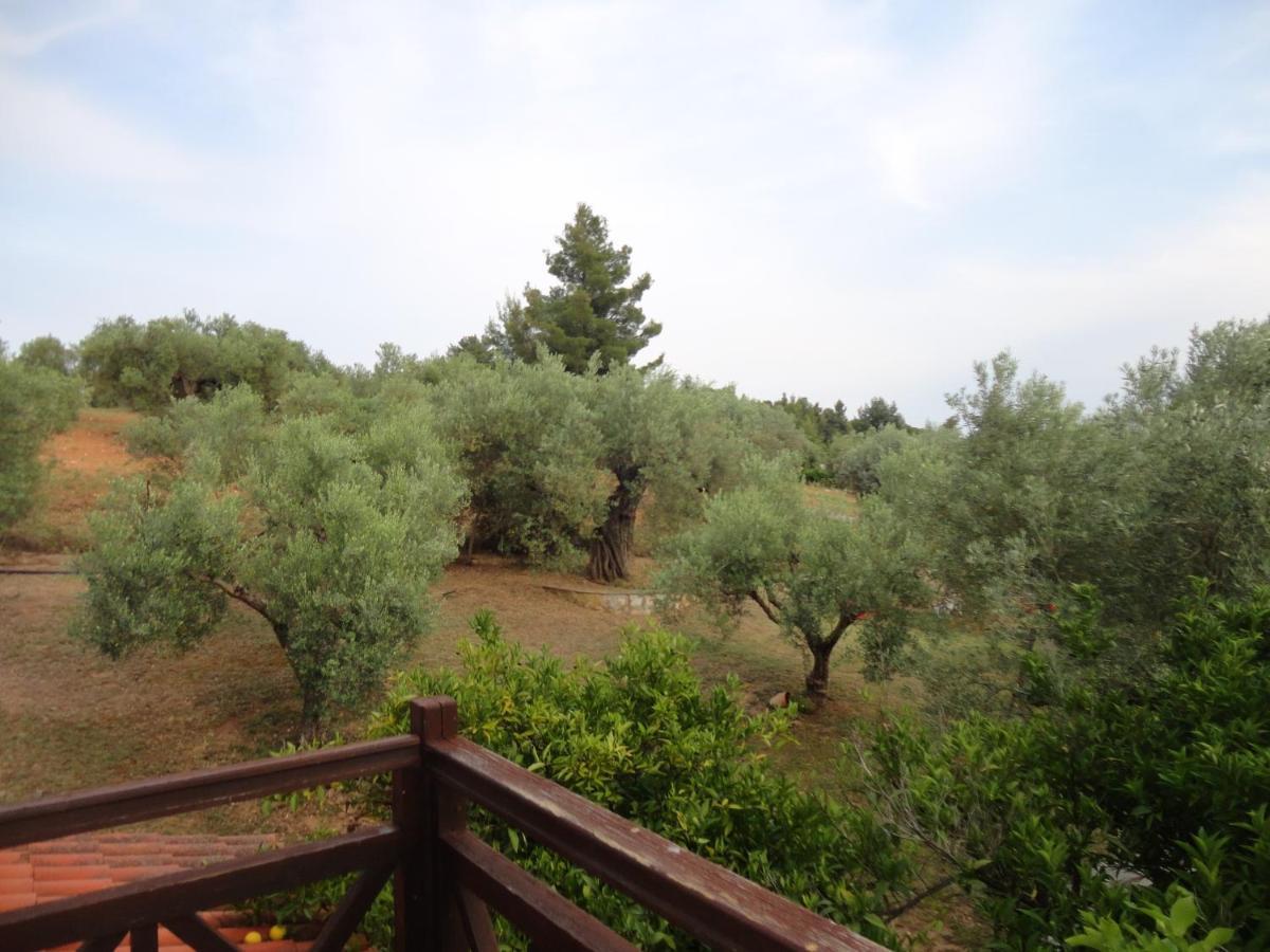 Makis House Nikiti (Sithonia) Exterior foto